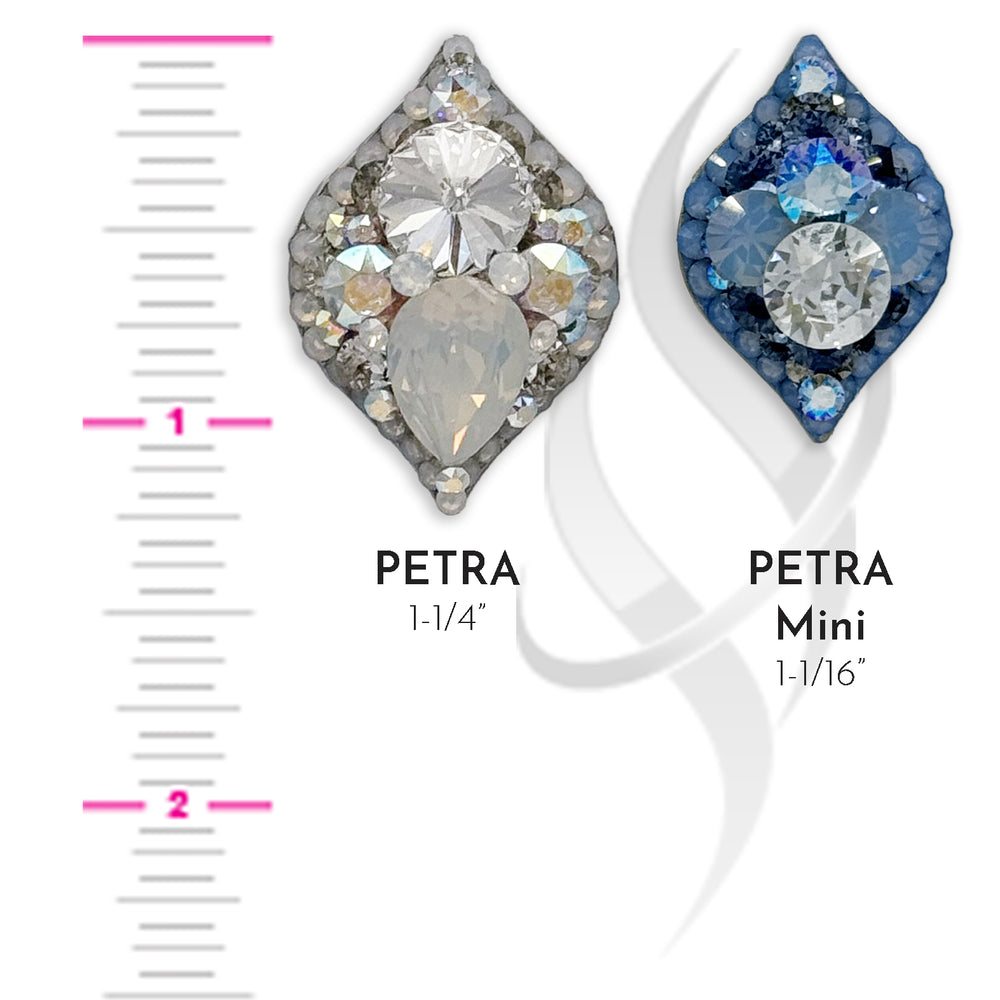 
                      
                        PETRA Mini
                      
                    